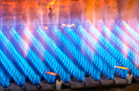 Rushmoor gas fired boilers